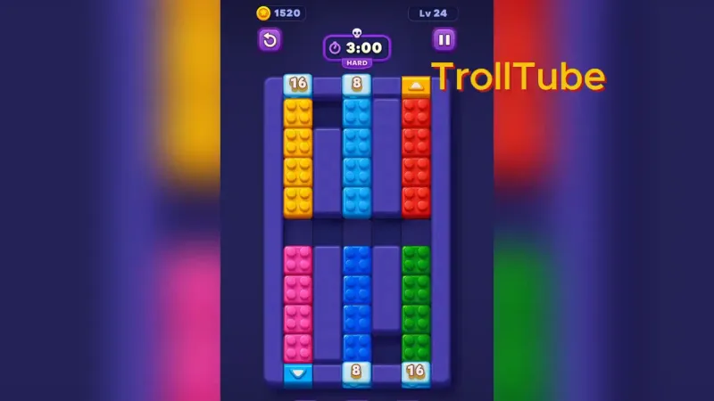 Level 24